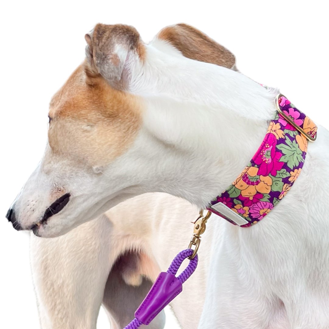 Floral Print Martingale Collars For Greyhounds, Whippets and Italian Greyhounds