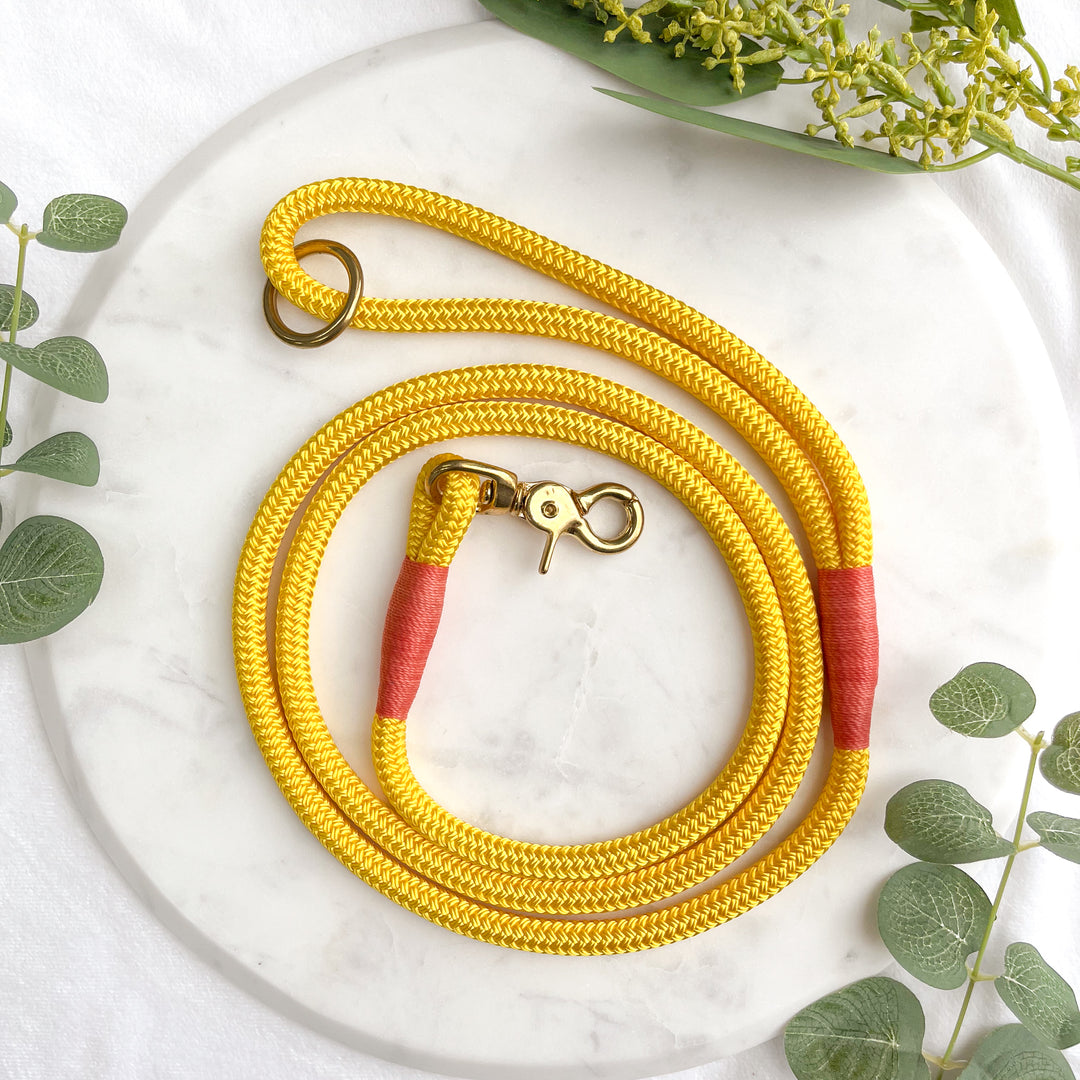 Candy Yellow Premium Rope Dog Leash