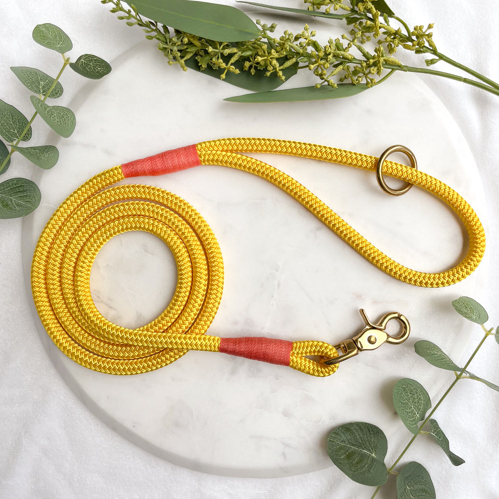 Candy Yellow Premium Rope Dog Leash With Brass Hardware