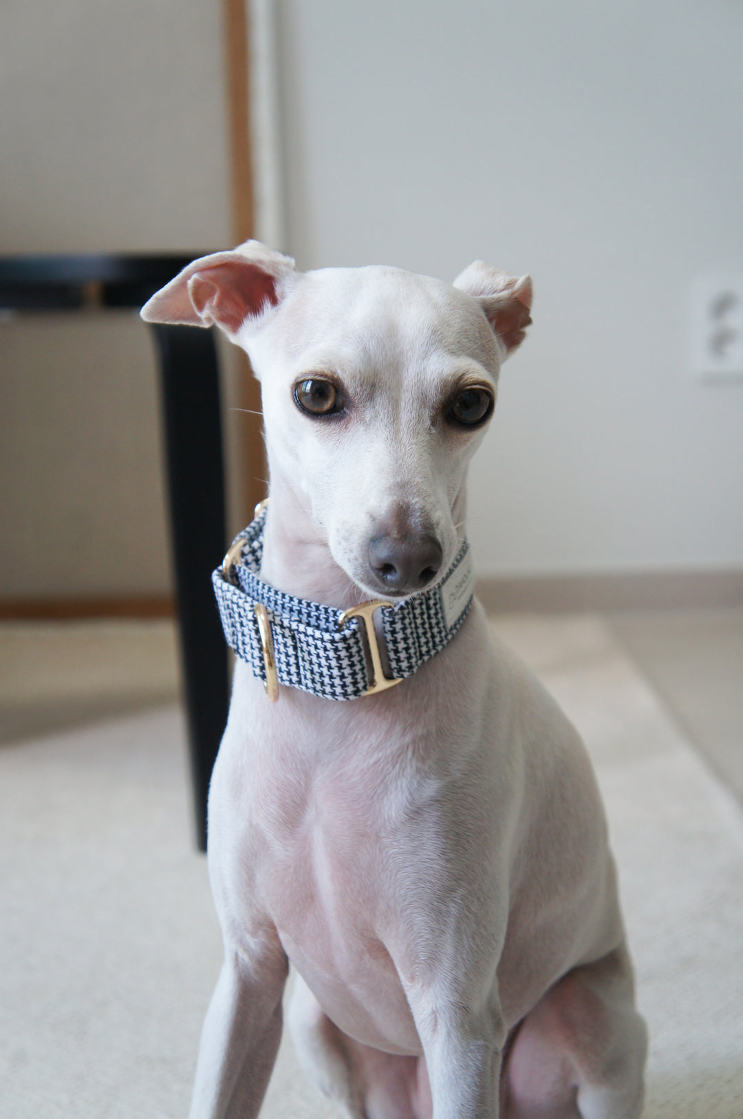 Wide Martingale Collar | Classic Houndstooth (Textured Weave)