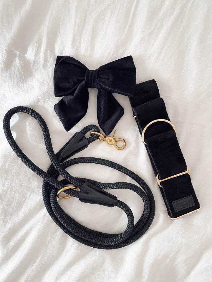 Wide Martingale Collar | Black (Plush Velvet)