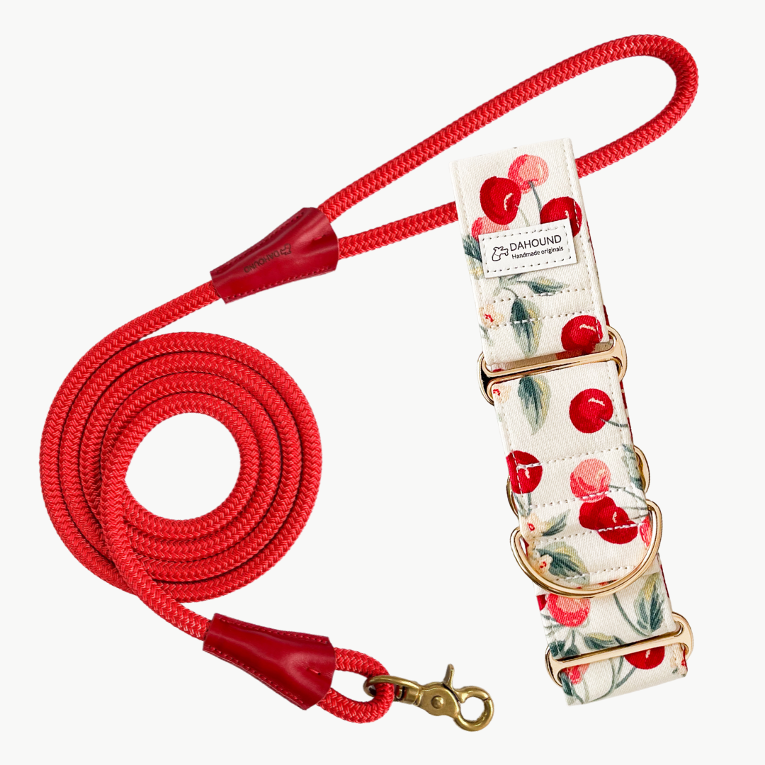 Martingale Collar + Rope Lead Set | Cherry (Sturdy Oxford Cotton)