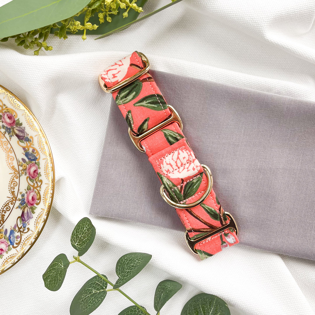 Wide Martingale Collar | Coral Peonies (Soft Cotton)