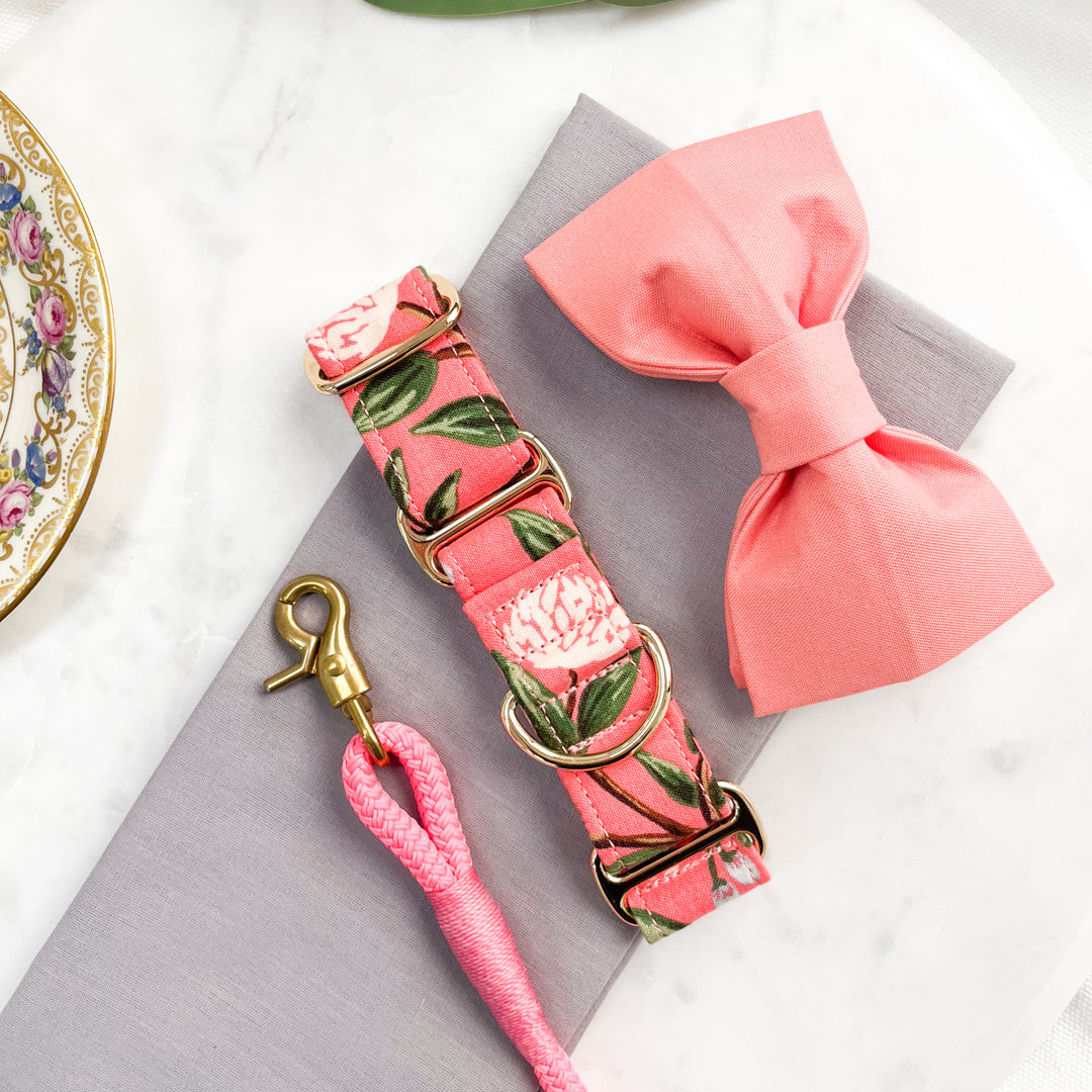 Wide Martingale Collar | Coral Peonies (Soft Cotton)