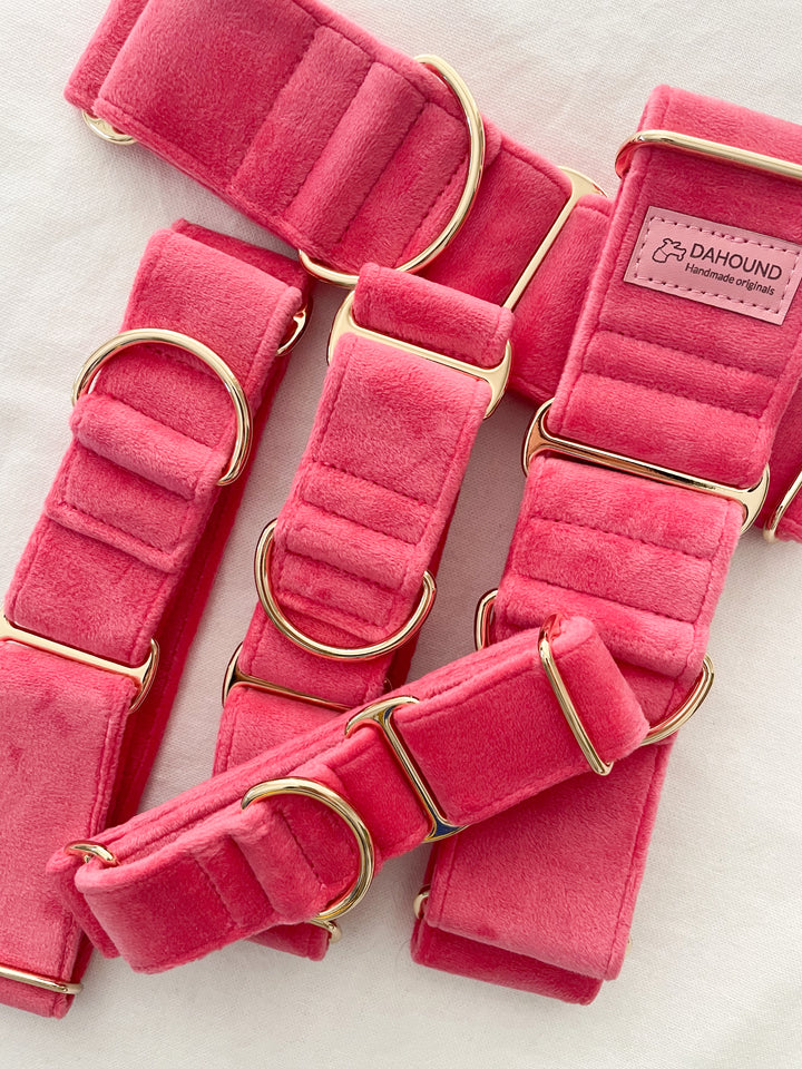 Wide Martingale Collar | Coral Pink (Plush Velvet)