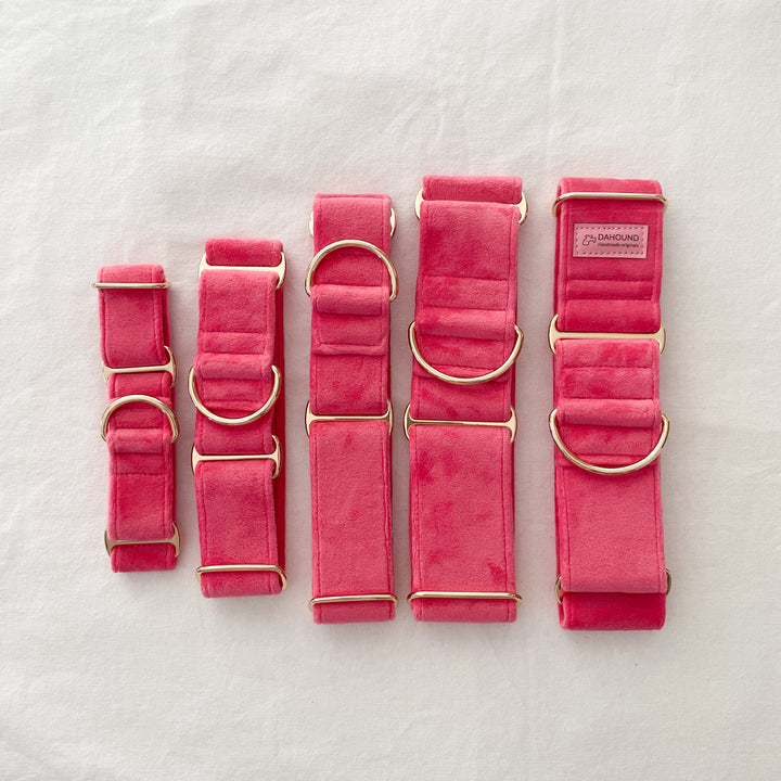 Wide Martingale Collar | Coral Pink (Plush Velvet)