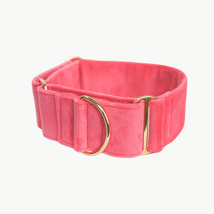 Wide Martingale Collar | Coral Pink (Plush Velvet)