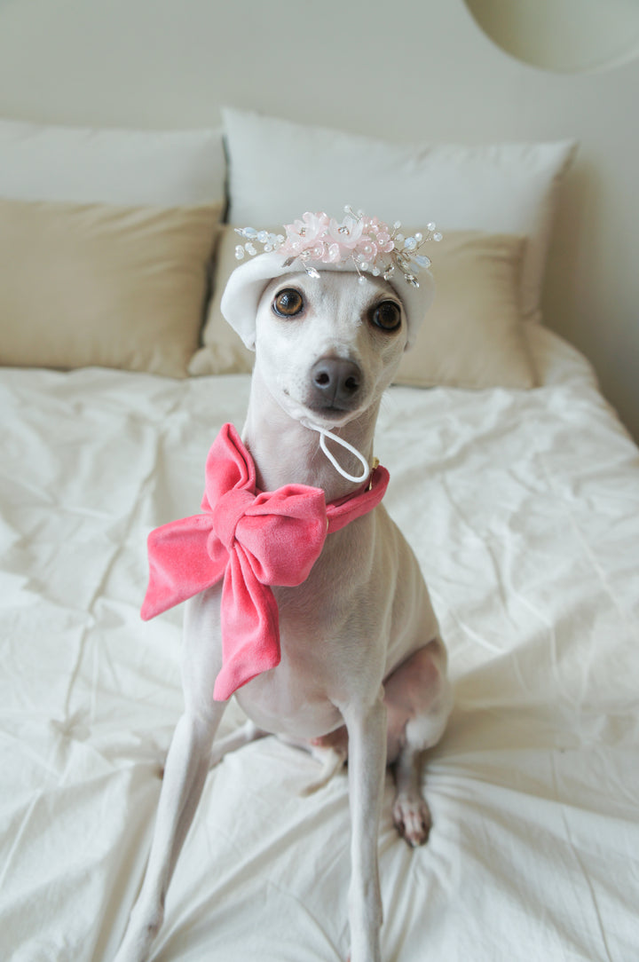 Oversized Sailor Dog Bow | Coral Pink (Plush Velvet)