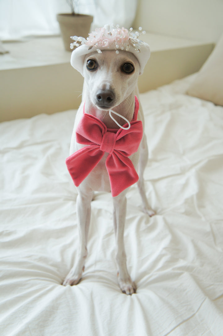 Oversized Sailor Dog Bow | Coral Pink (Plush Velvet)