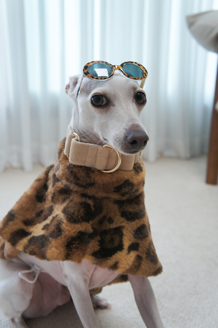 Wide Martingale Collar | Cream (Plush Velvet)