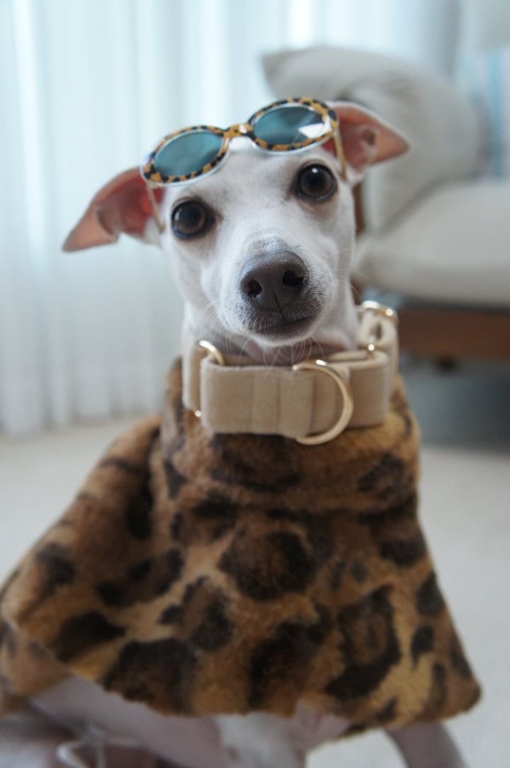 Wide Martingale Collar | Cream (Plush Velvet)