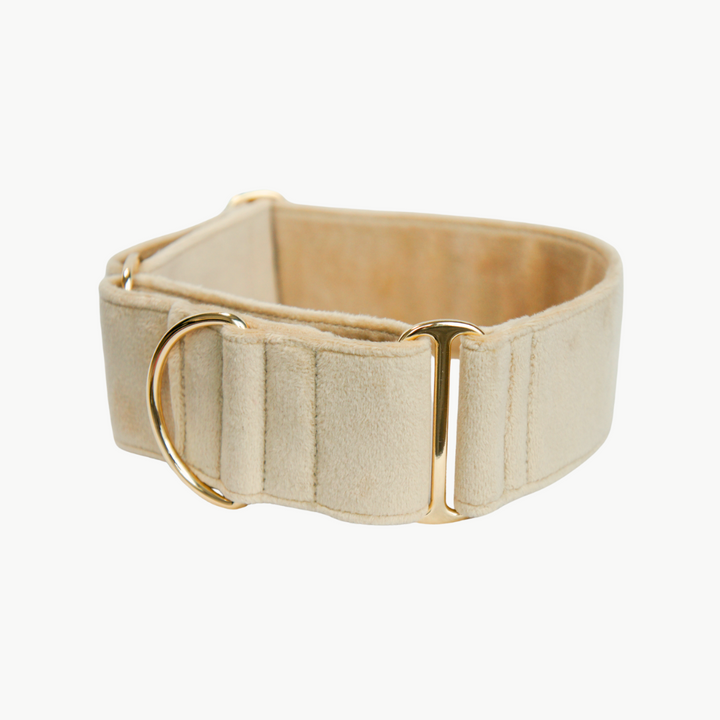 Wide Martingale Collar | Cream (Plush Velvet)