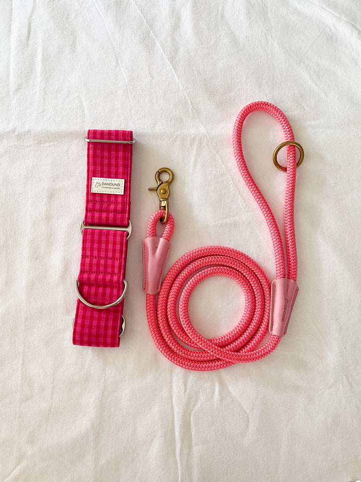 Dahound Crimson Pink Mini Gingham Greyhound Collars Product Photo With Rosa Pink Rope Leash