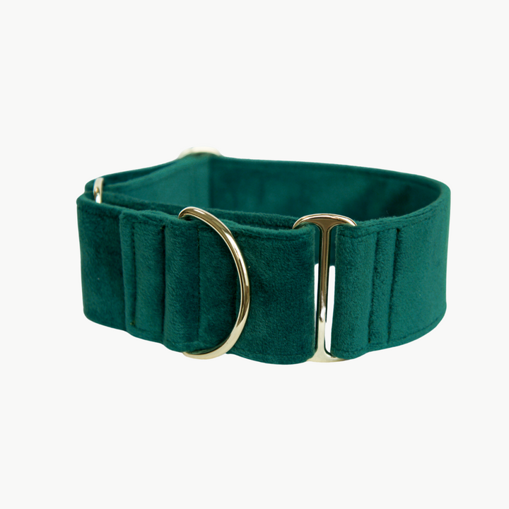 Wide Martingale Collar | Dark Forest Green (Plush Velvet)