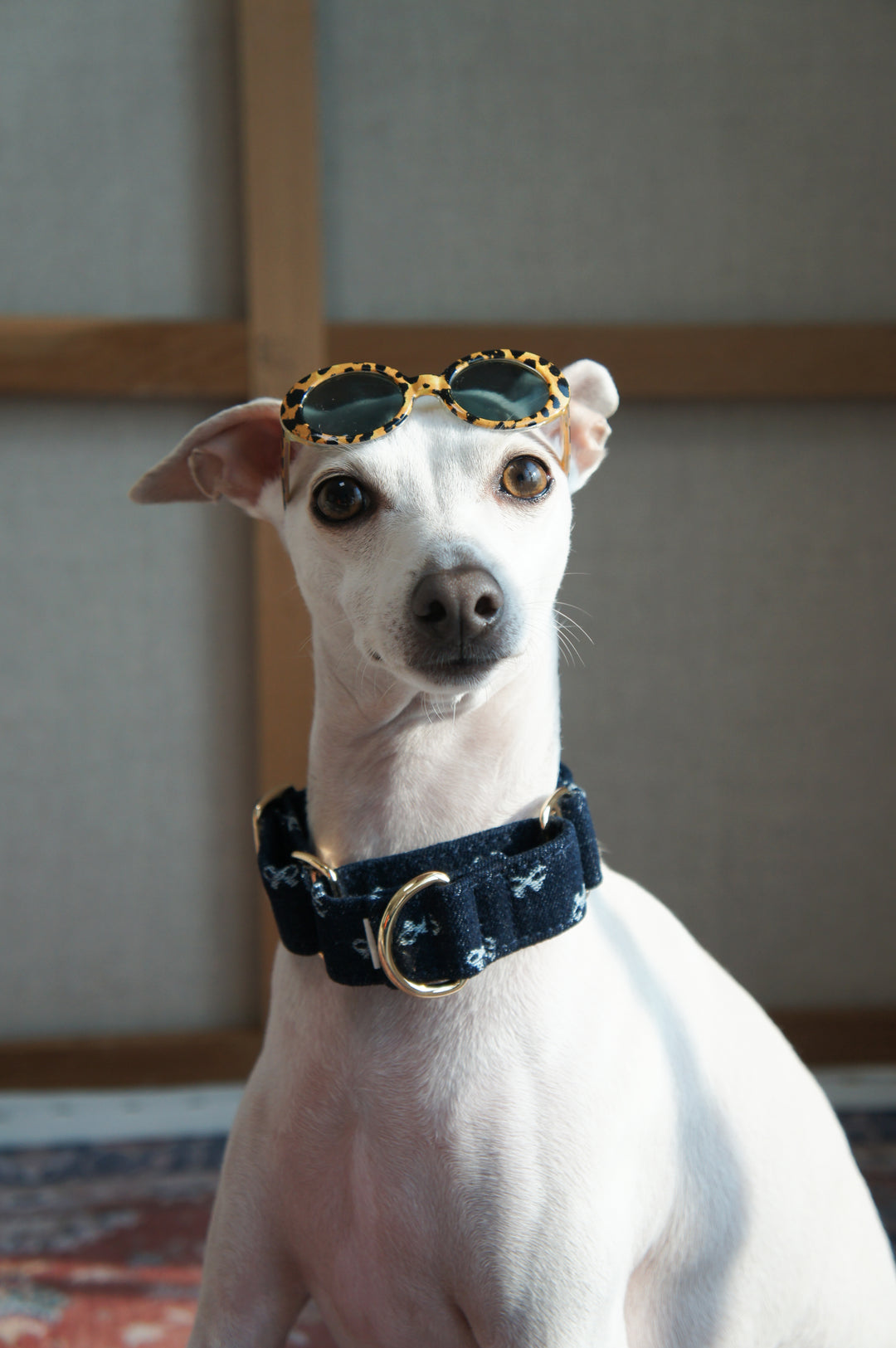 Dahound Dark Indigo Denim Bow Martingale Collars For Italian Greyhound