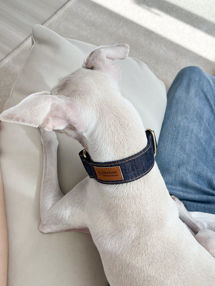 Wide Martingale Collar | Dark Indigo (Classic Denim)