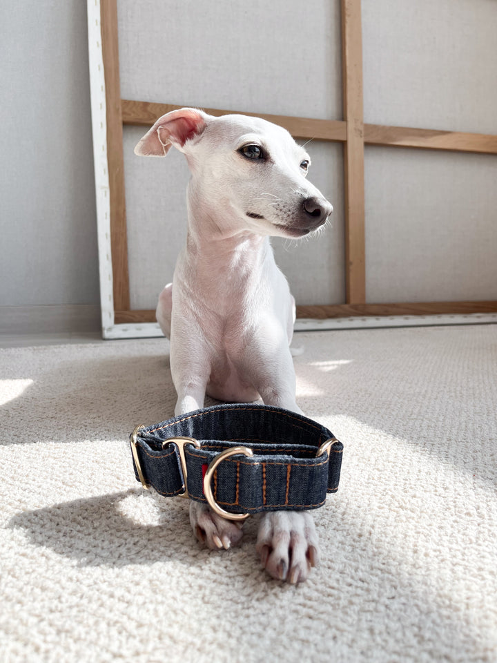 Wide Martingale Collar | Dark Indigo (Classic Denim)