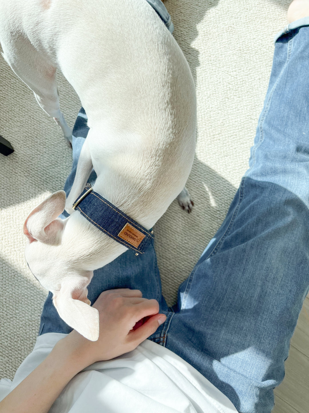 Wide Martingale Collar | Dark Indigo (Classic Denim)