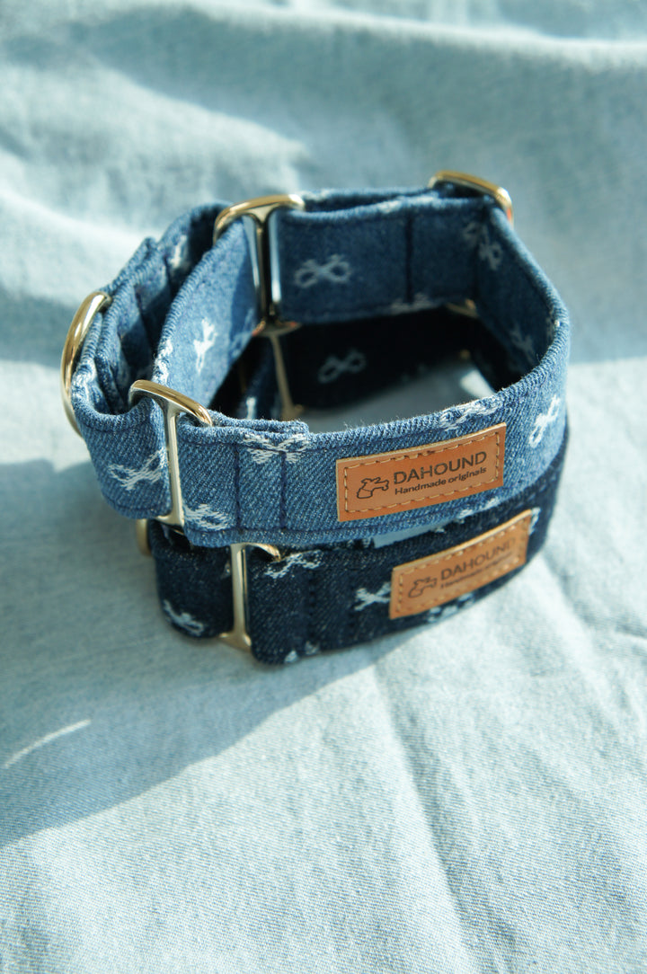 Dahound Denim Bow Italian Greyhound Collar Product Lifestyle Photo Side