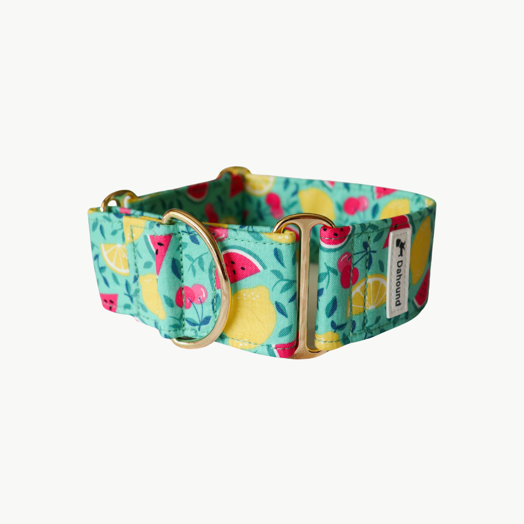 Dahound Fruity Fruit Salad Martingale Collar Product Photo