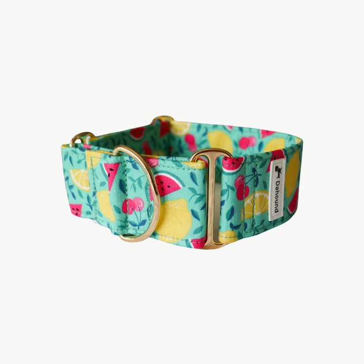 Dahound Fruity Fruit Salad Martingale Collar Product Photo