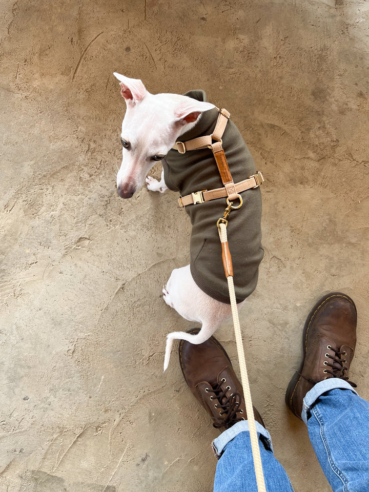 Signature Harness & Rope Lead Set | Beige