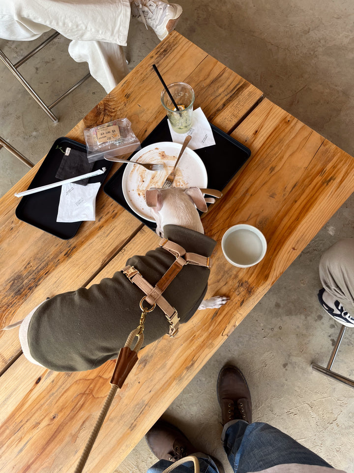 Signature Rope Leash | Beige (Leather & Brass Hardware)