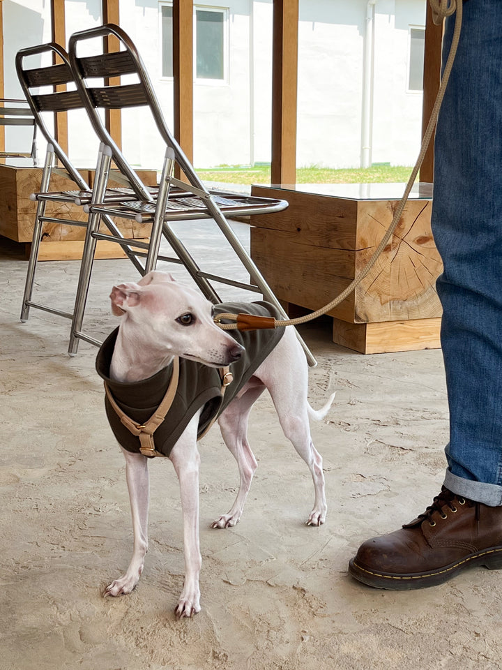 Signature Harness & Rope Lead Set | Beige
