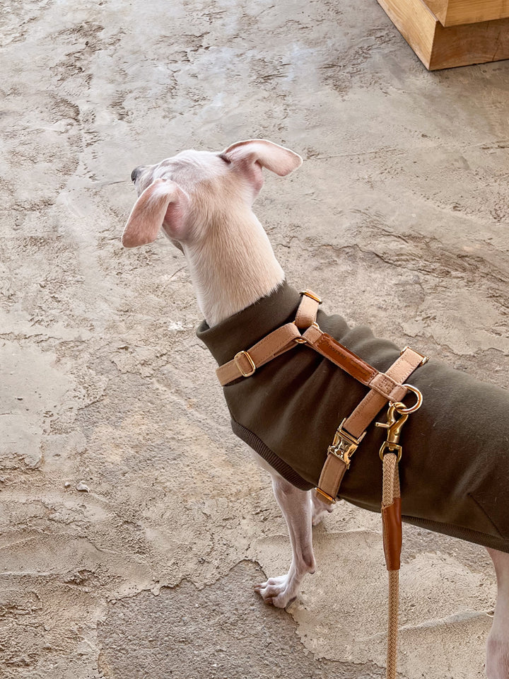 Signature Strap Style Dog H Harness | Beige