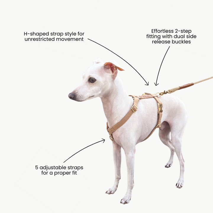 Signature Strap Style Dog H Harness | Beige