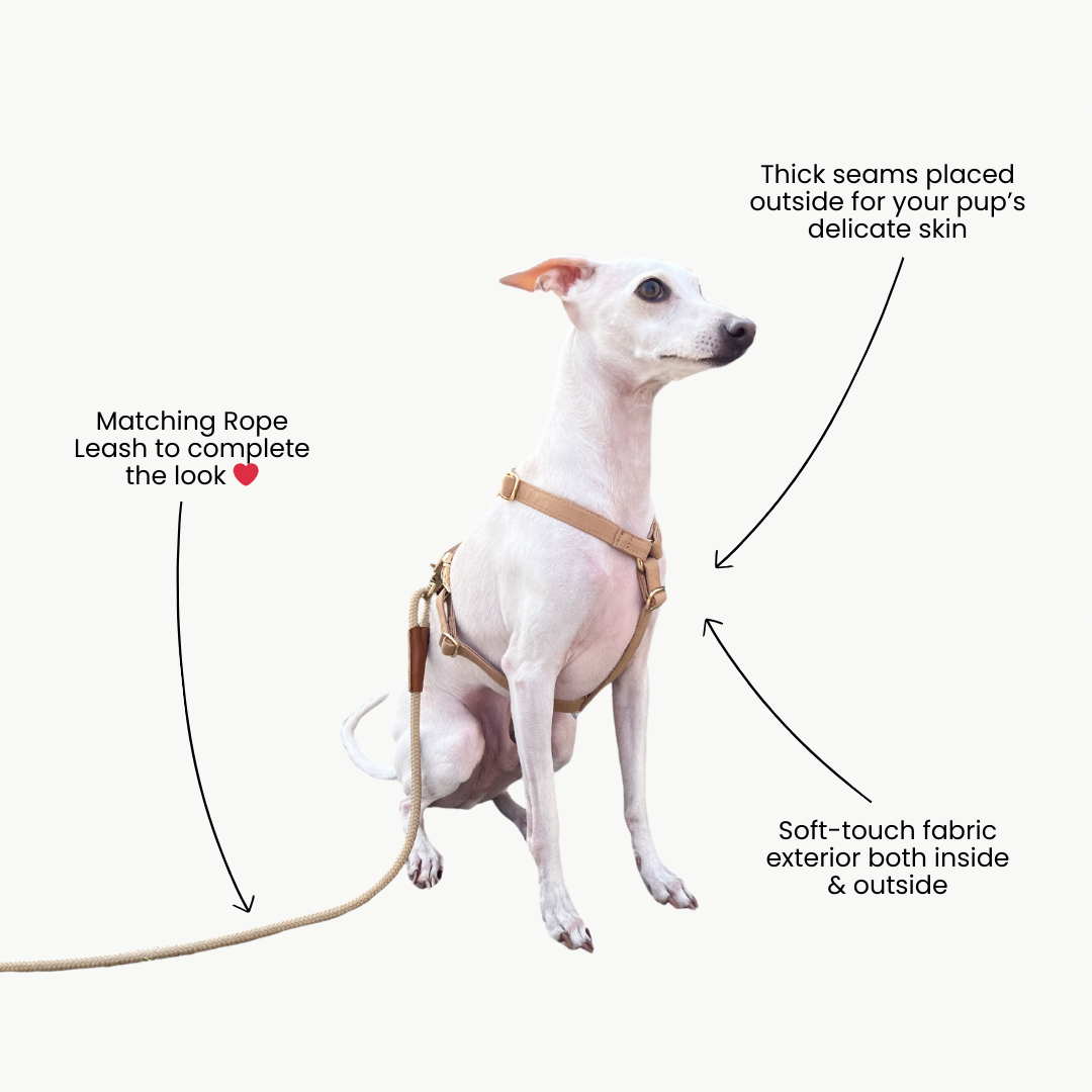 Signature Strap Style Dog H Harness | Beige