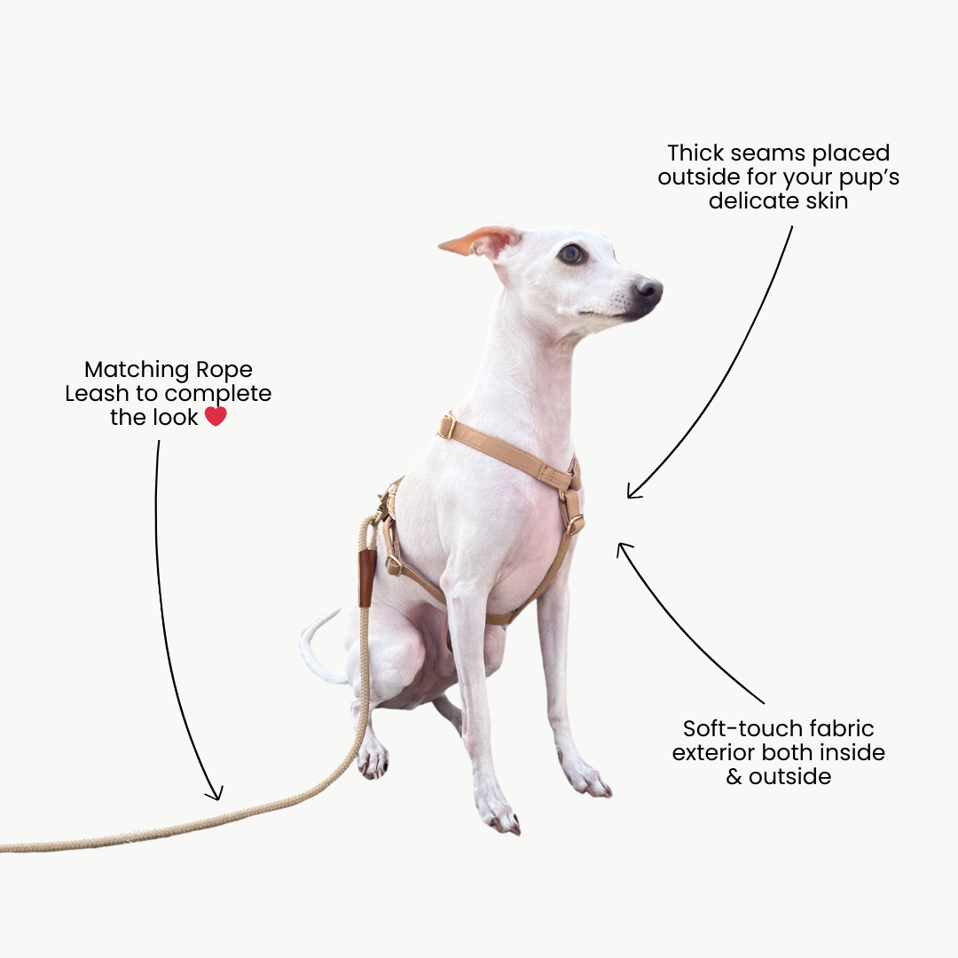 Signature H Dog Harness | Beige [PRE-ORDER]