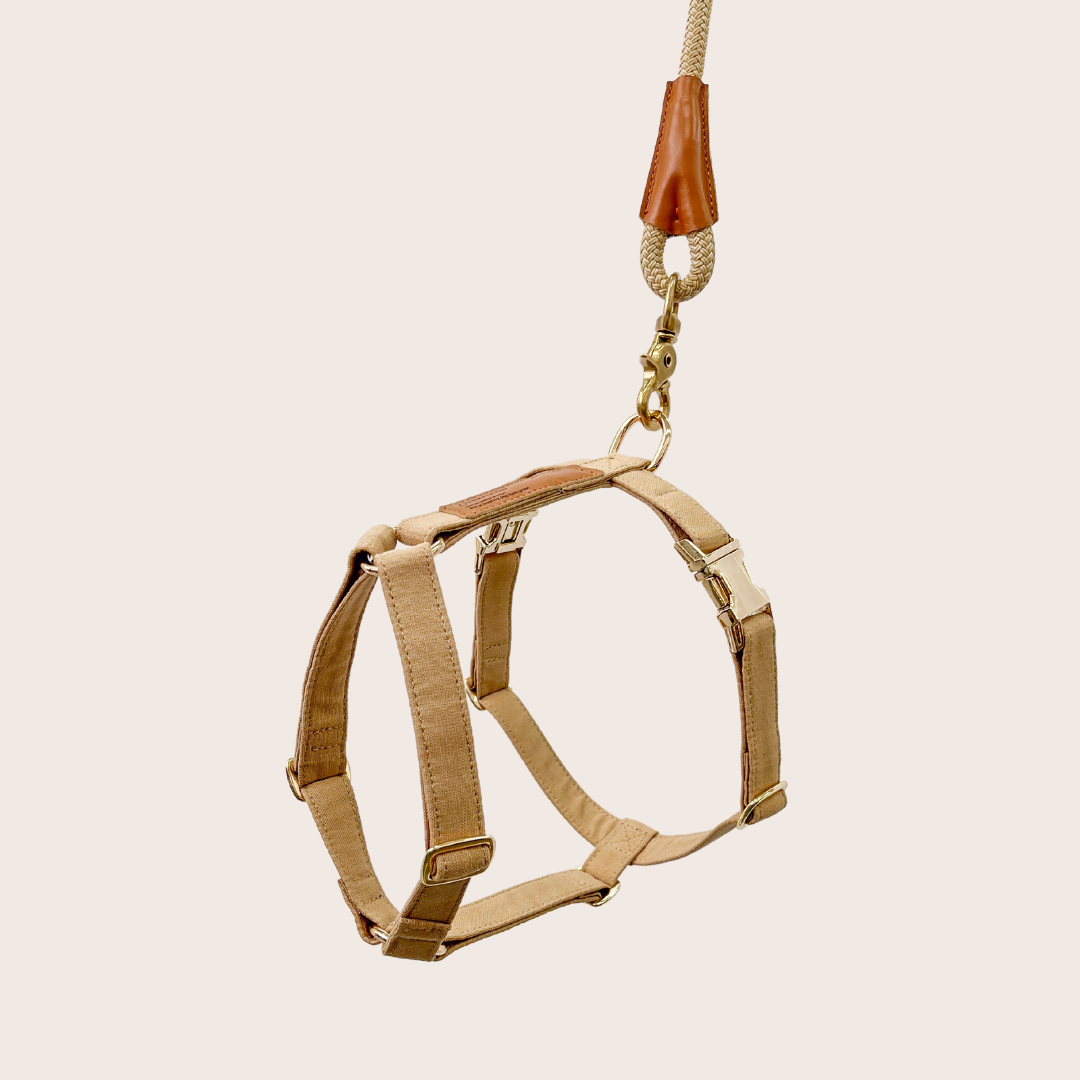 Signature Strap Style Dog H Harness | Beige