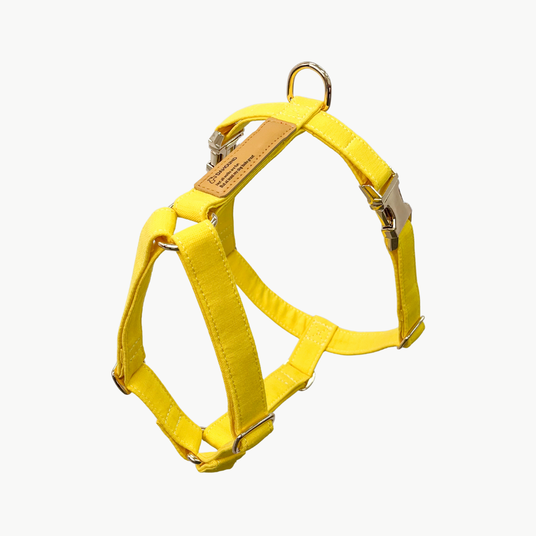 Signature Strap Style Dog H Harness | Candy Yellow