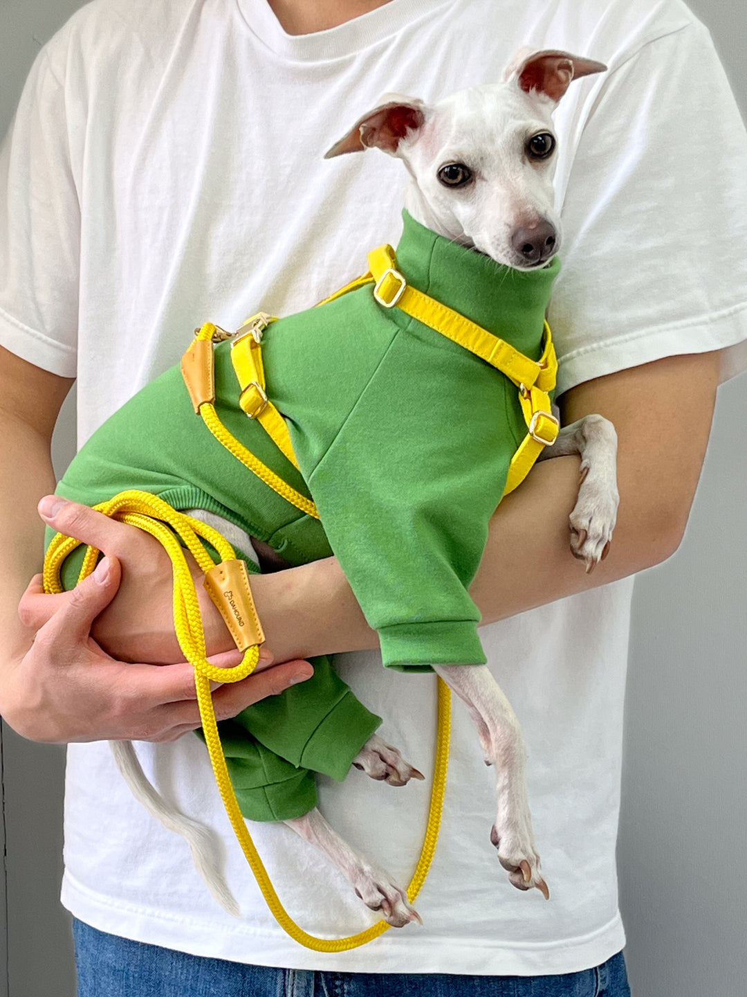 Signature Strap Style Dog H Harness | Candy Yellow