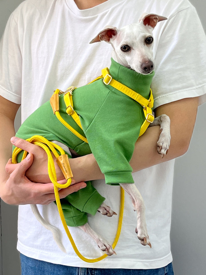 Signature Strap Style Dog H Harness | Candy Yellow
