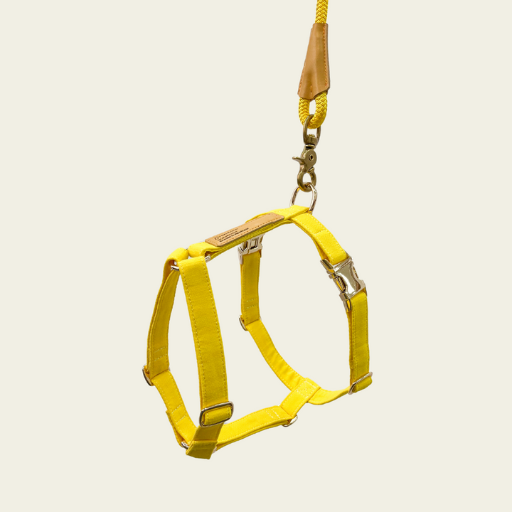 Signature Strap Style Dog H Harness | Candy Yellow