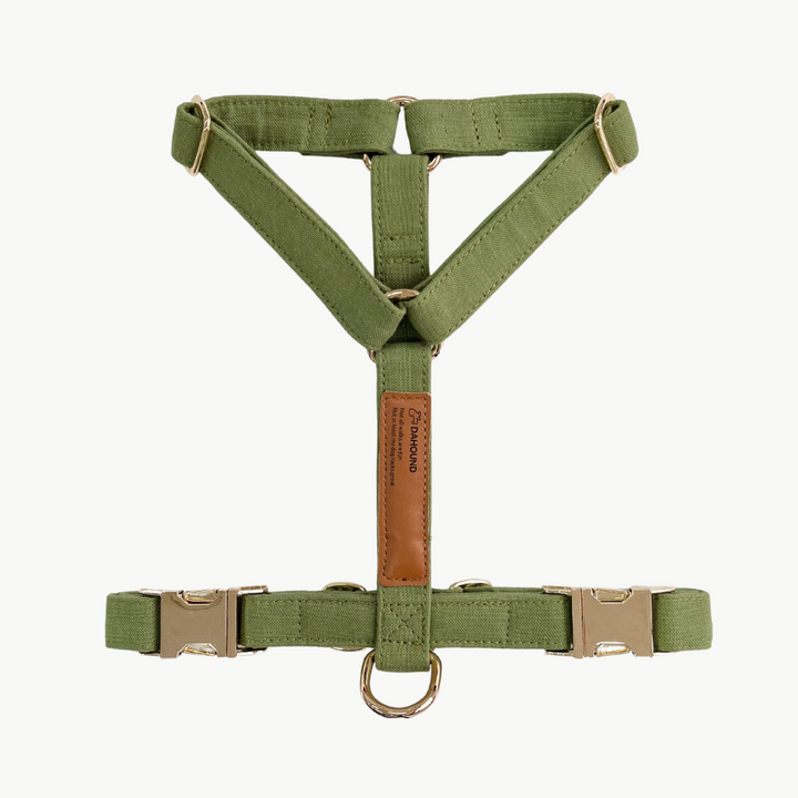 Signature Strap Style Dog H Harness | Olive Green