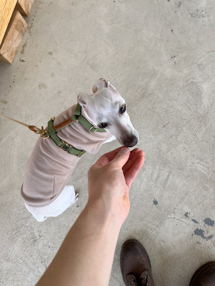Signature Strap Style Dog H Harness | Olive Green