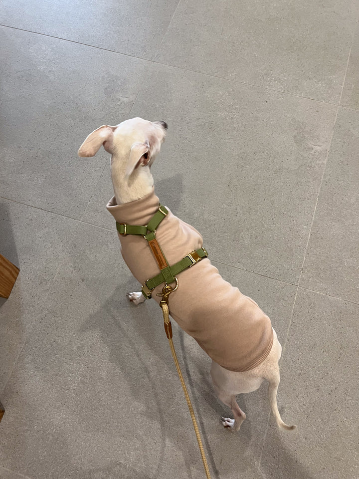 Signature Harness & Rope Lead Set | Olive Green