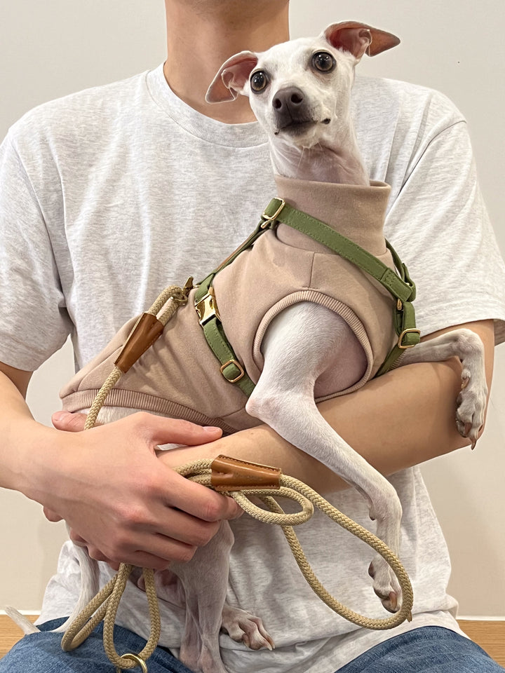 Signature Strap Style Dog H Harness | Olive Green