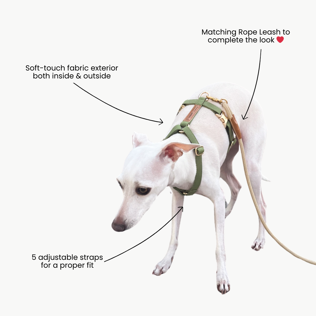 Signature Strap Style Dog H Harness | Olive Green