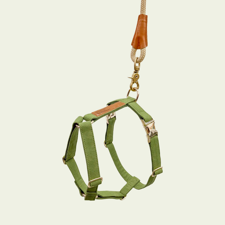 Signature Strap Style Dog H Harness | Olive Green