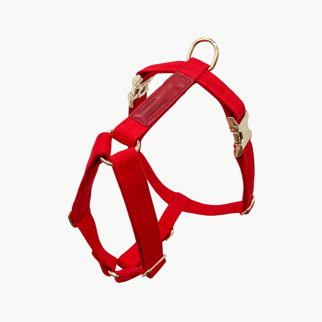 Signature Strap Style Dog H Harness Red