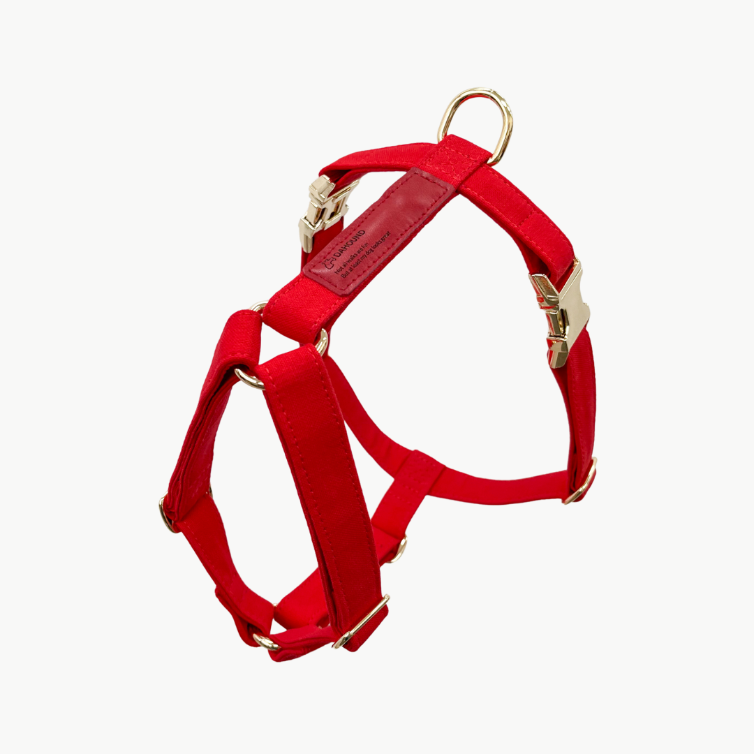 Animates dog harness clearance