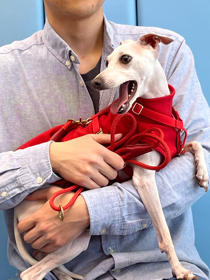 Signature Rope Leash | Red (Leather & Brass Hardware)