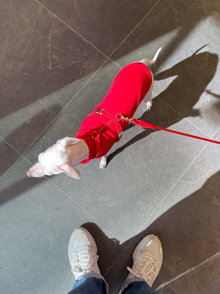 Signature Rope Leash | Red (Leather & Brass Hardware)