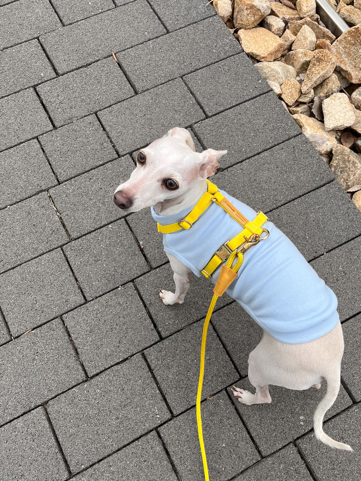 Signature Strap Style Dog H Harness | Candy Yellow