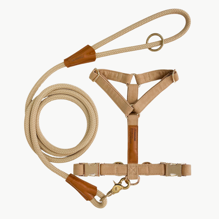 Signature Harness & Rope Lead Set | Beige