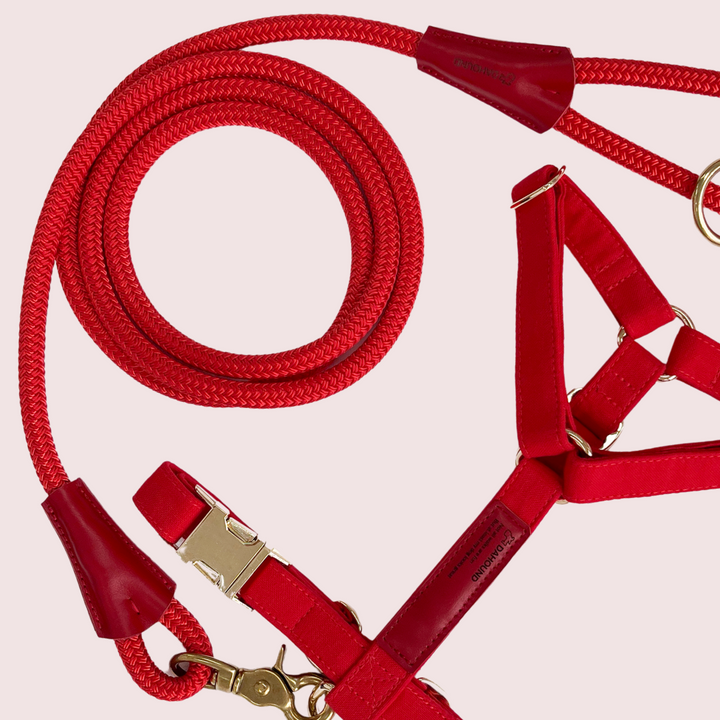 Signature Harness & Rope Lead Set | Red